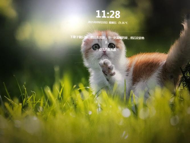 如何彻底关闭360画报?