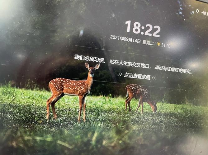 360画报卸载了屏保还在 360画报卸载了屏保还在