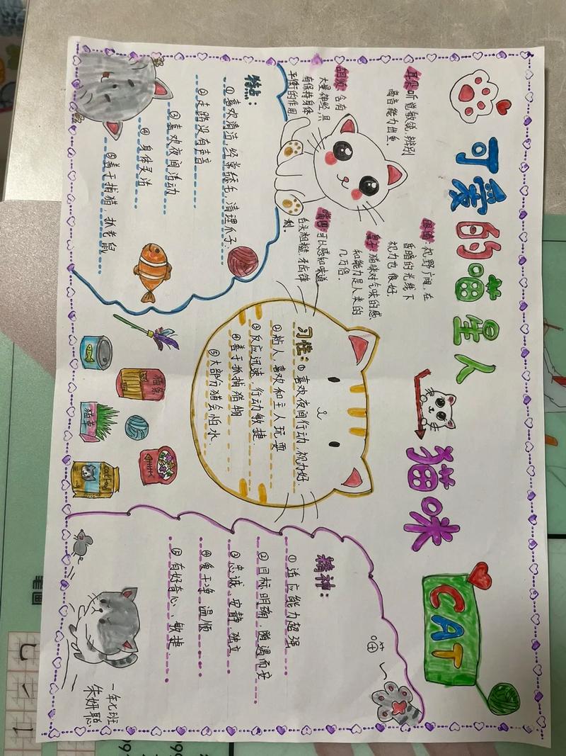 每个人都可以创作的 「城市画报」,Big 2.0 为内容社区注入更丰富的形...