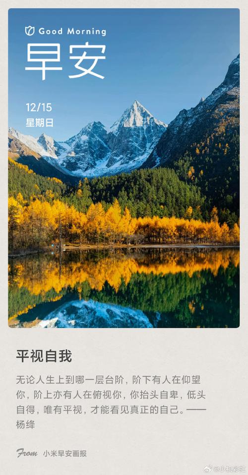 小米画报可以卸载吗 小米画报可以卸载吗